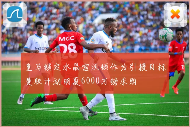 皇马锁定水晶宫沃顿作为引援目标曼联计划明夏6000万镑求购