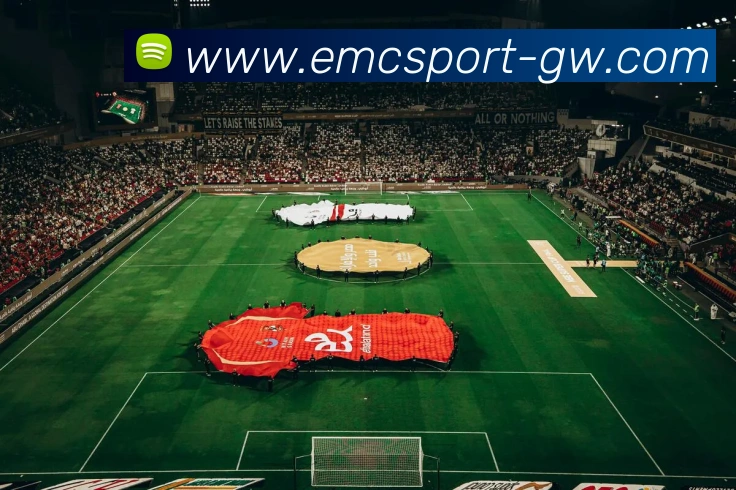 多媒体互动体验